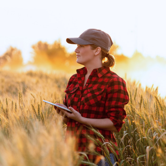 Agriculture Loans